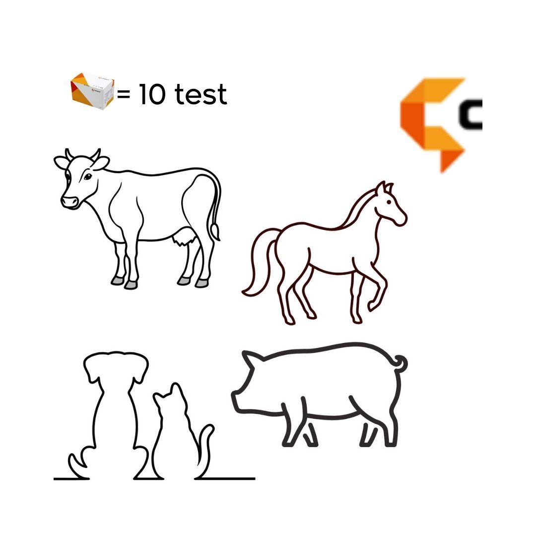 TOXOPLASMA IgG/IgM Ab